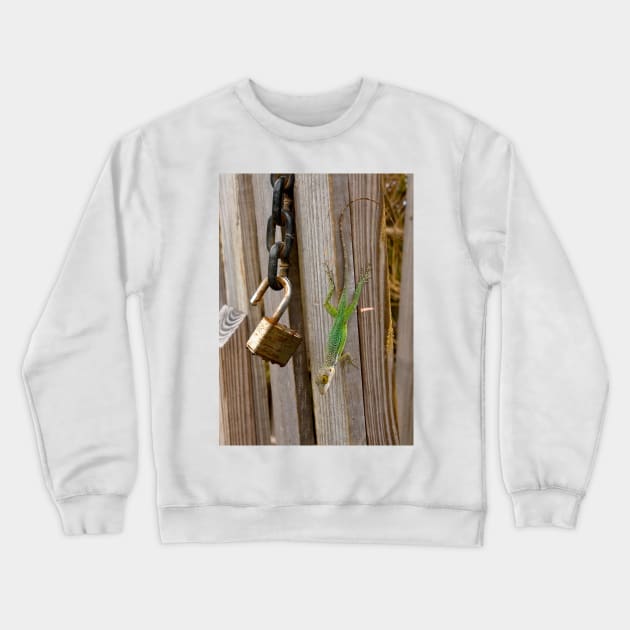 Hanging out Together Crewneck Sweatshirt by ephotocard